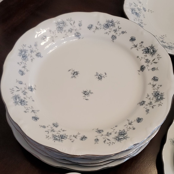Beautiful Baverian 81 Piece Dinnerware ❤ - Picture 9 of 12